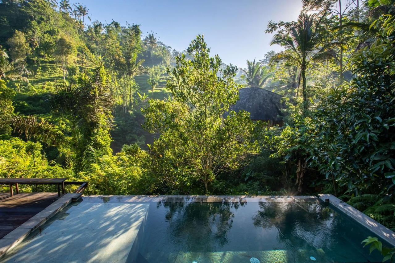 Buahan, A Banyan Tree Escape Payangan Extérieur photo