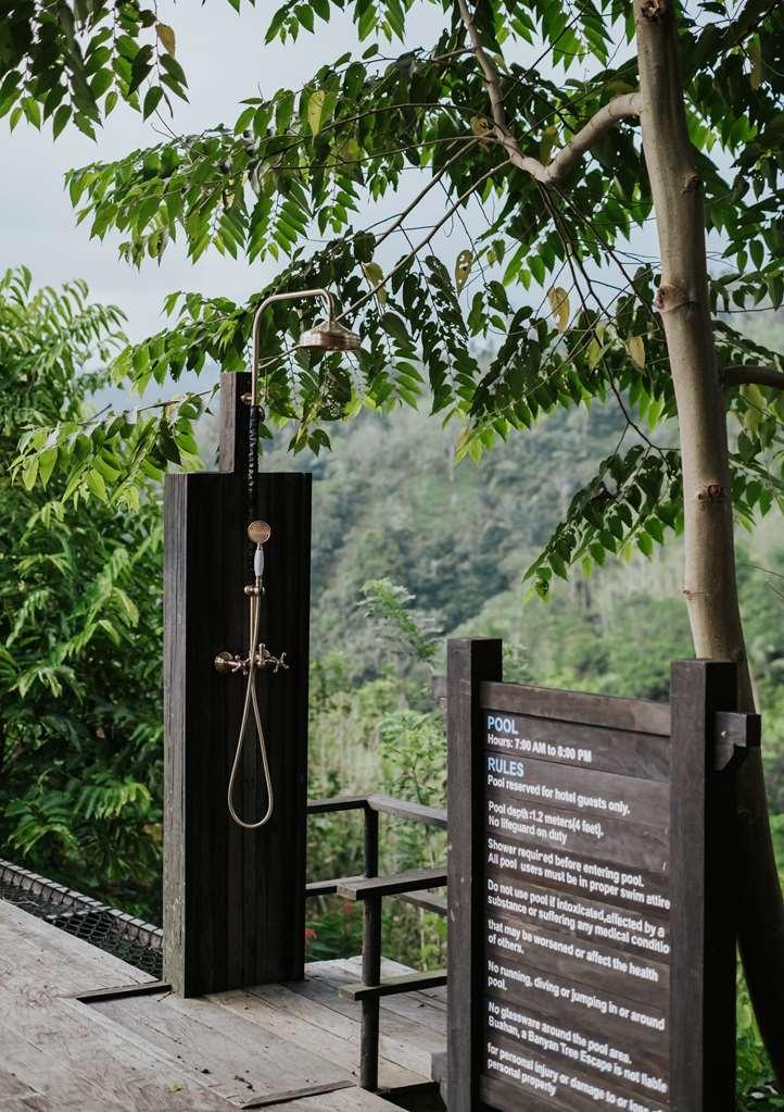 Buahan, A Banyan Tree Escape Payangan Facilités photo